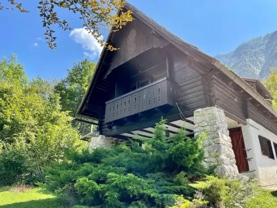 Red Beech Cabin's front gable and covered entrance in daylight