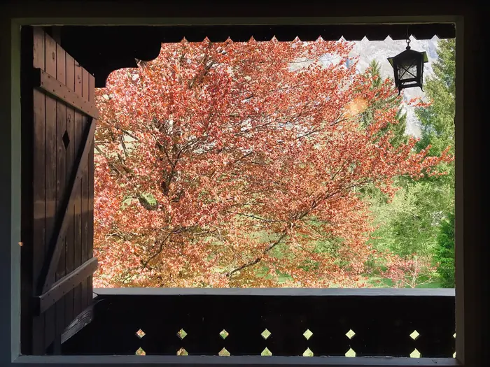Inside Red Beech Cabin — original wood-beamed interior (photo 24)