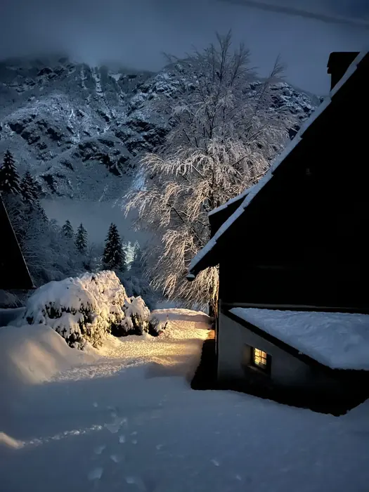 Lake Bohinj and the Triglav National Park mountains near Red Beech Cabin (photo 42)