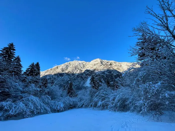 Lake Bohinj and the Triglav National Park mountains near Red Beech Cabin (photo 43)