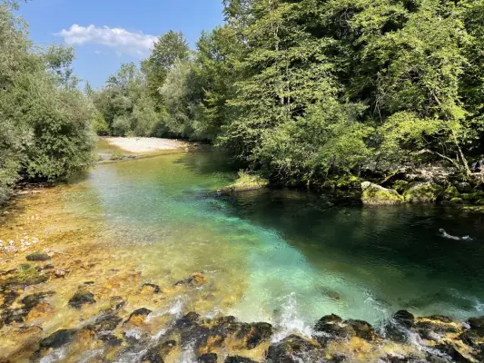 Clear river near Red Beech Cabin, popular for fishing