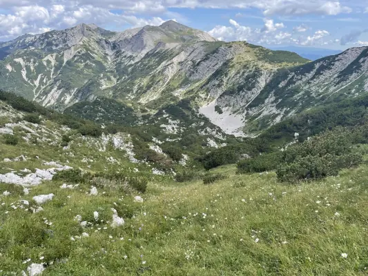 Hiking trail near Red Beech Cabin, Triglav National Park