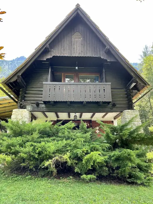 Exterior of Red Beech Cabin among the beech forest
